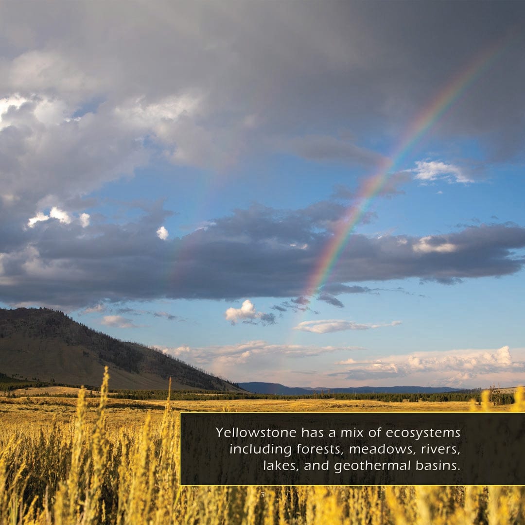 Yellowstone National Park! A My Incredible World Picture Book for Children