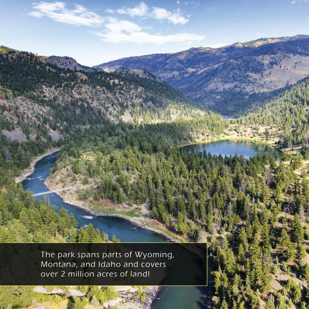 Yellowstone National Park! A My Incredible World Picture Book for Children