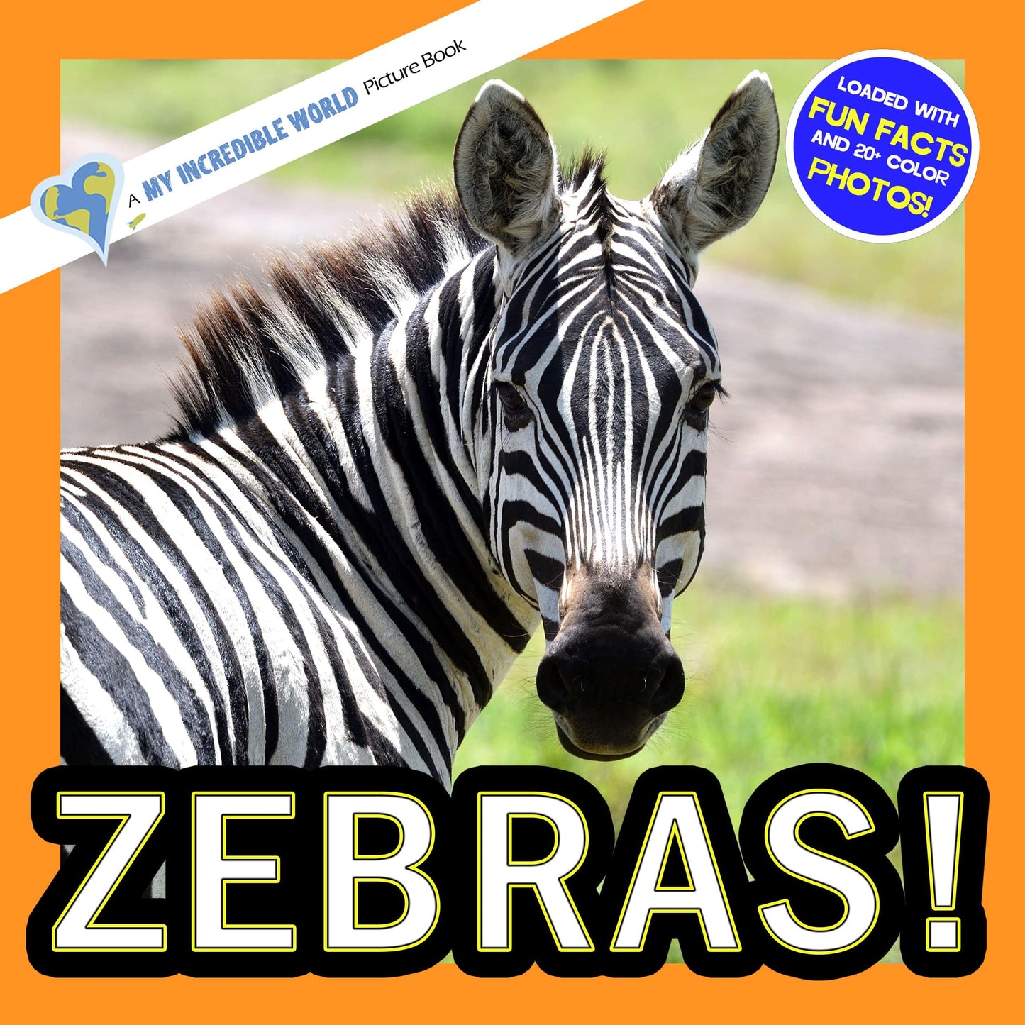 Zebras! A My Incredible World Picture Book for Children