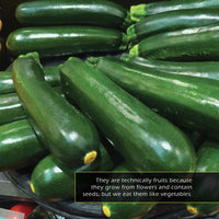 Zucchini! A My Incredible World Picture Book for Children