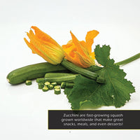 Zucchini! A My Incredible World Picture Book for Children