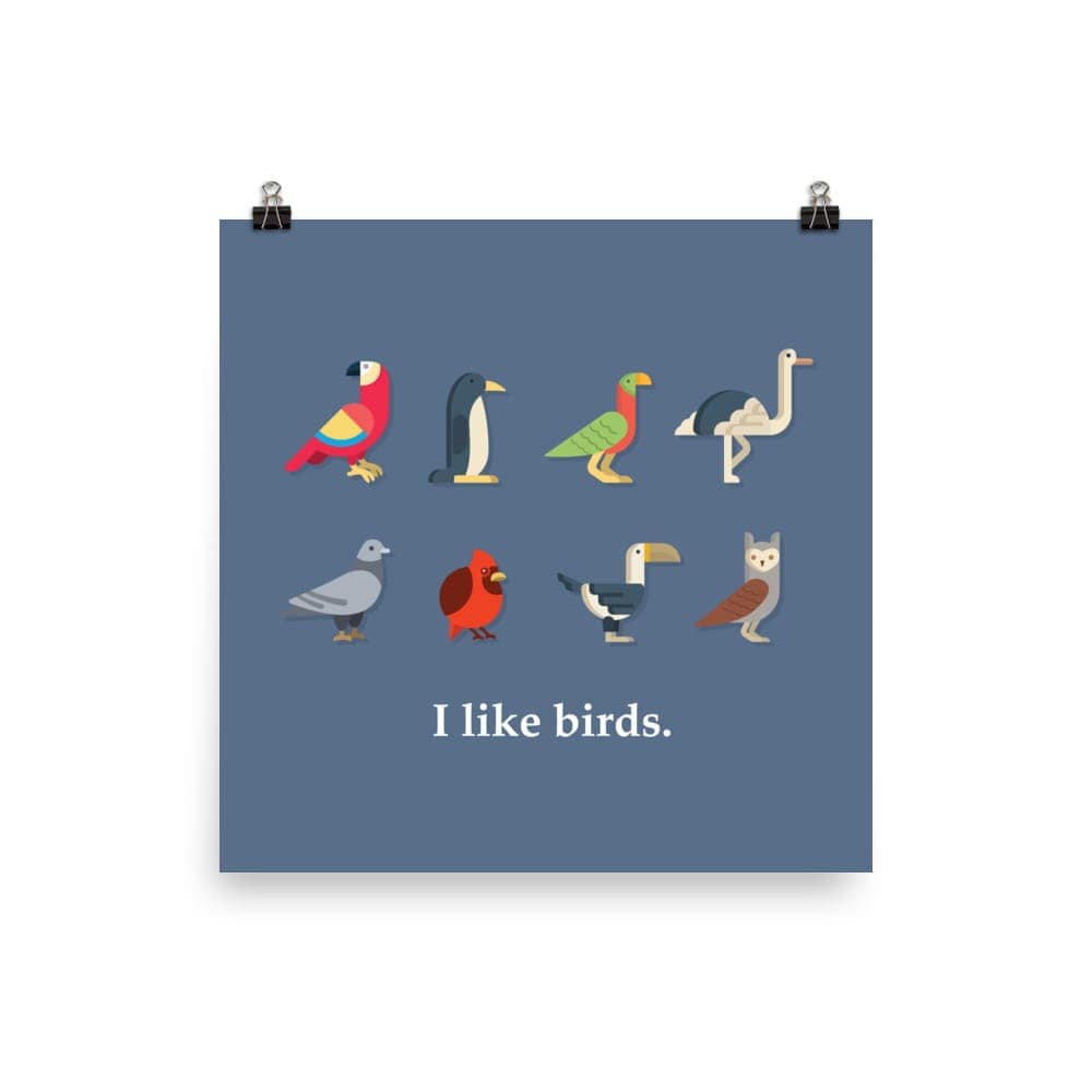 "I Like Birds" Bird Lovers' Poster/Print (Blue Background) 10×10