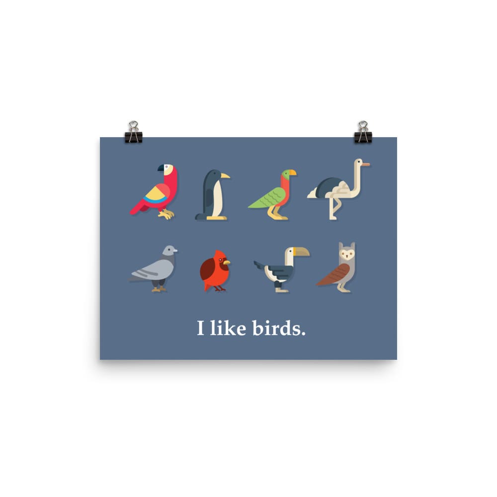 "I Like Birds" Bird Lovers' Poster/Print (Blue Background) 12×16