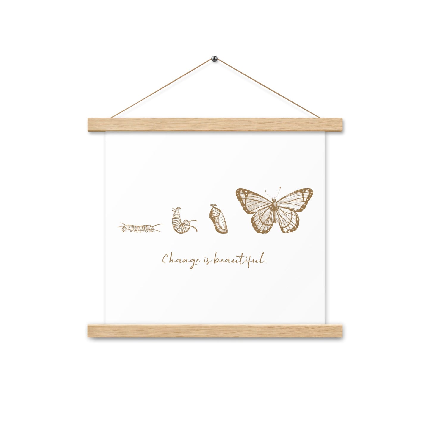 "Change is Beautiful" Butterfly Metamorphosis Poster with Hangers 14×14