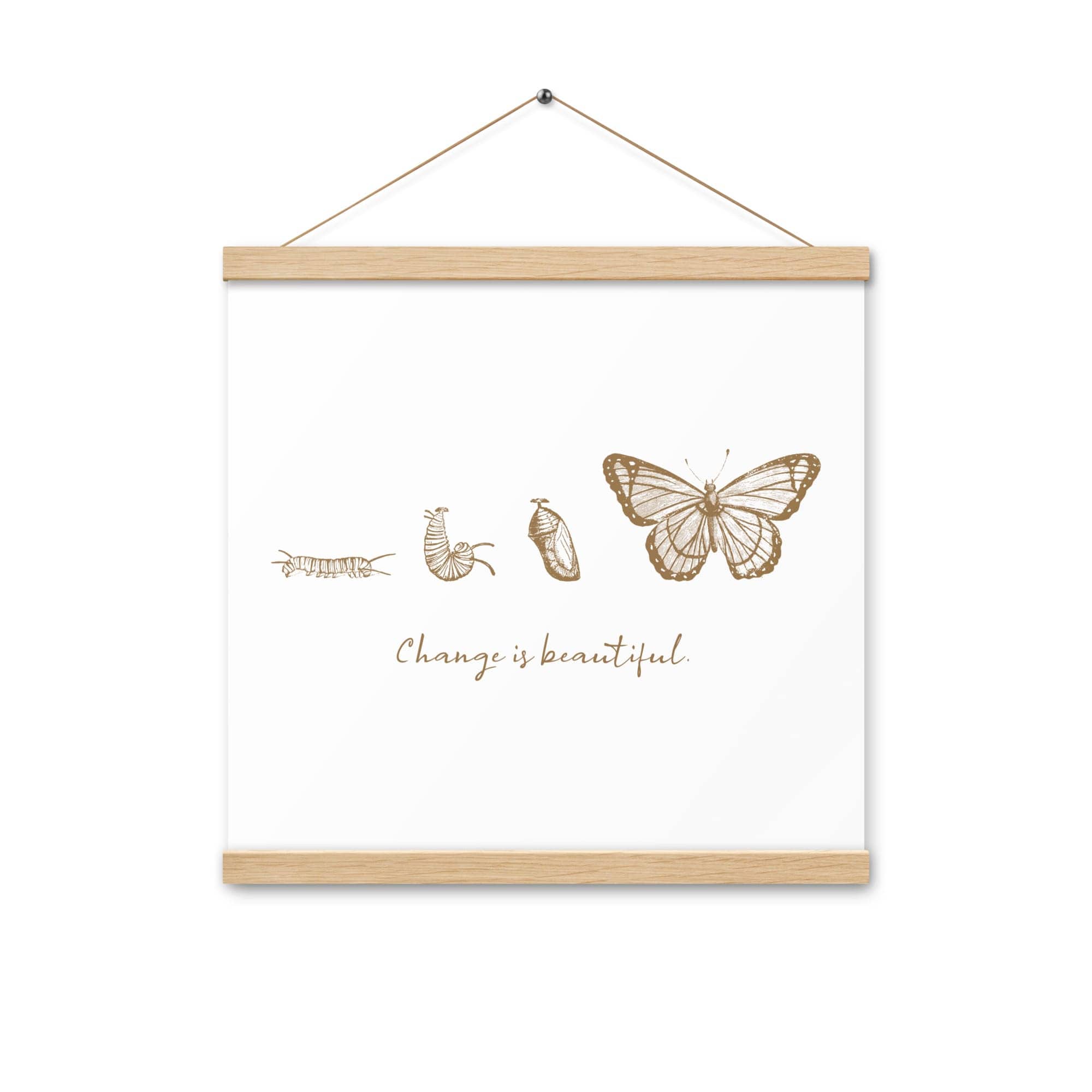 "Change is Beautiful" Butterfly Metamorphosis Poster with Hangers 16×16