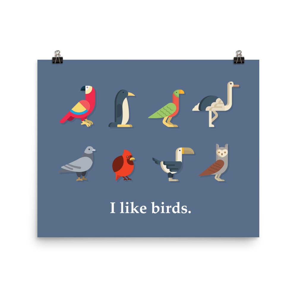 "I Like Birds" Bird Lovers' Poster/Print (Blue Background) 16×20