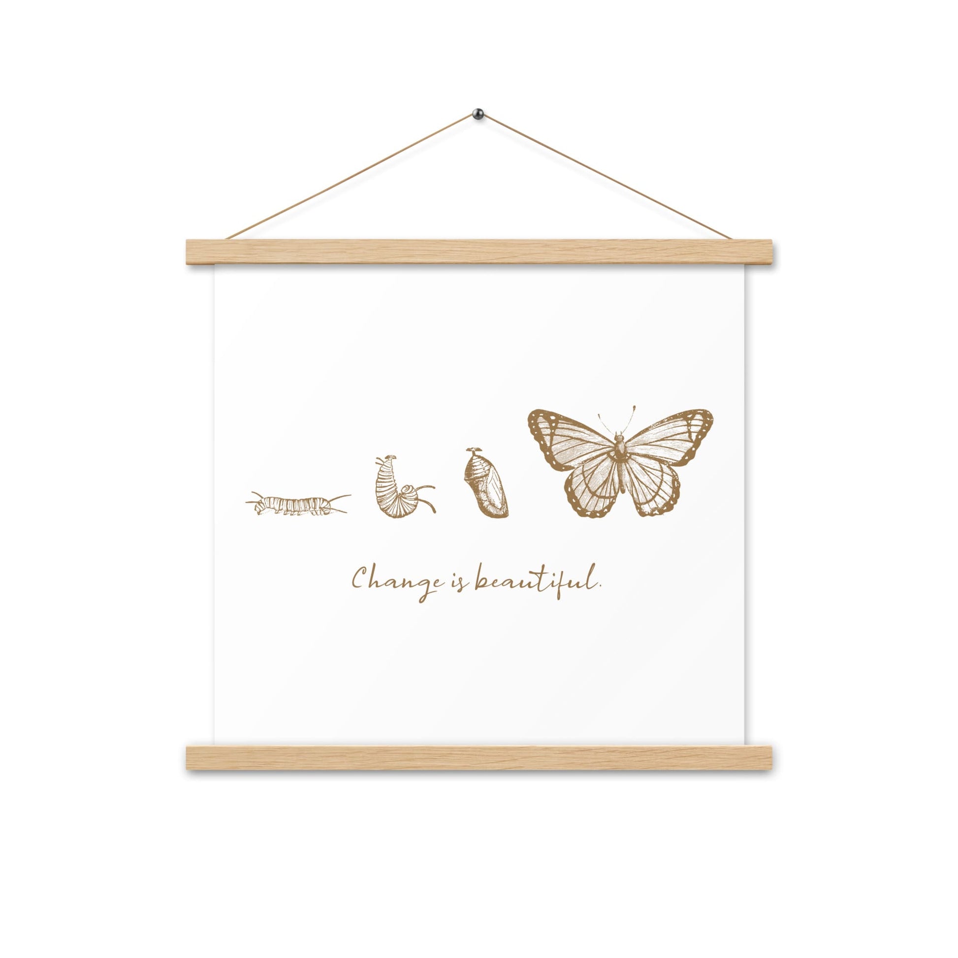 "Change is Beautiful" Butterfly Metamorphosis Poster with Hangers 18×18