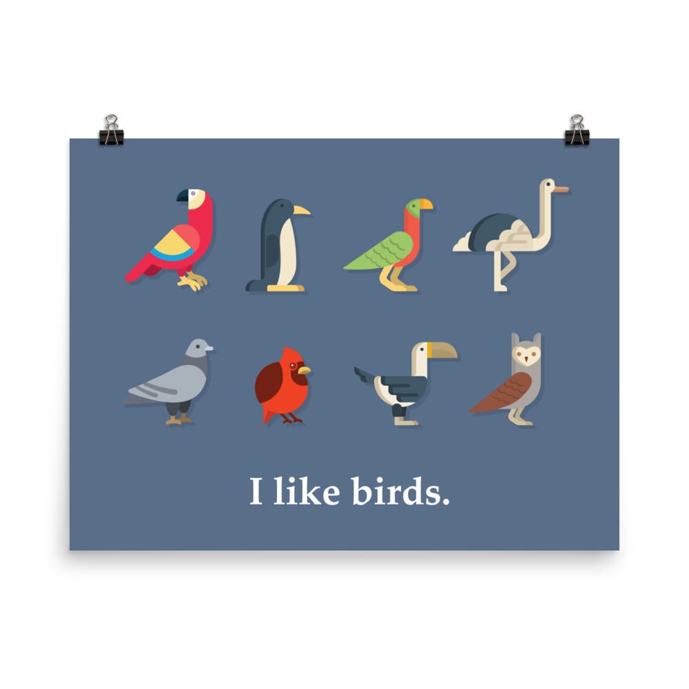 "I Like Birds" Bird Lovers' Poster/Print (Blue Background) 18×24