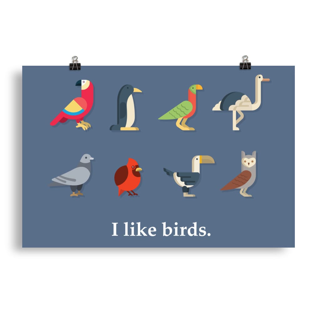 "I Like Birds" Bird Lovers' Poster/Print (Blue Background) 20″×30″