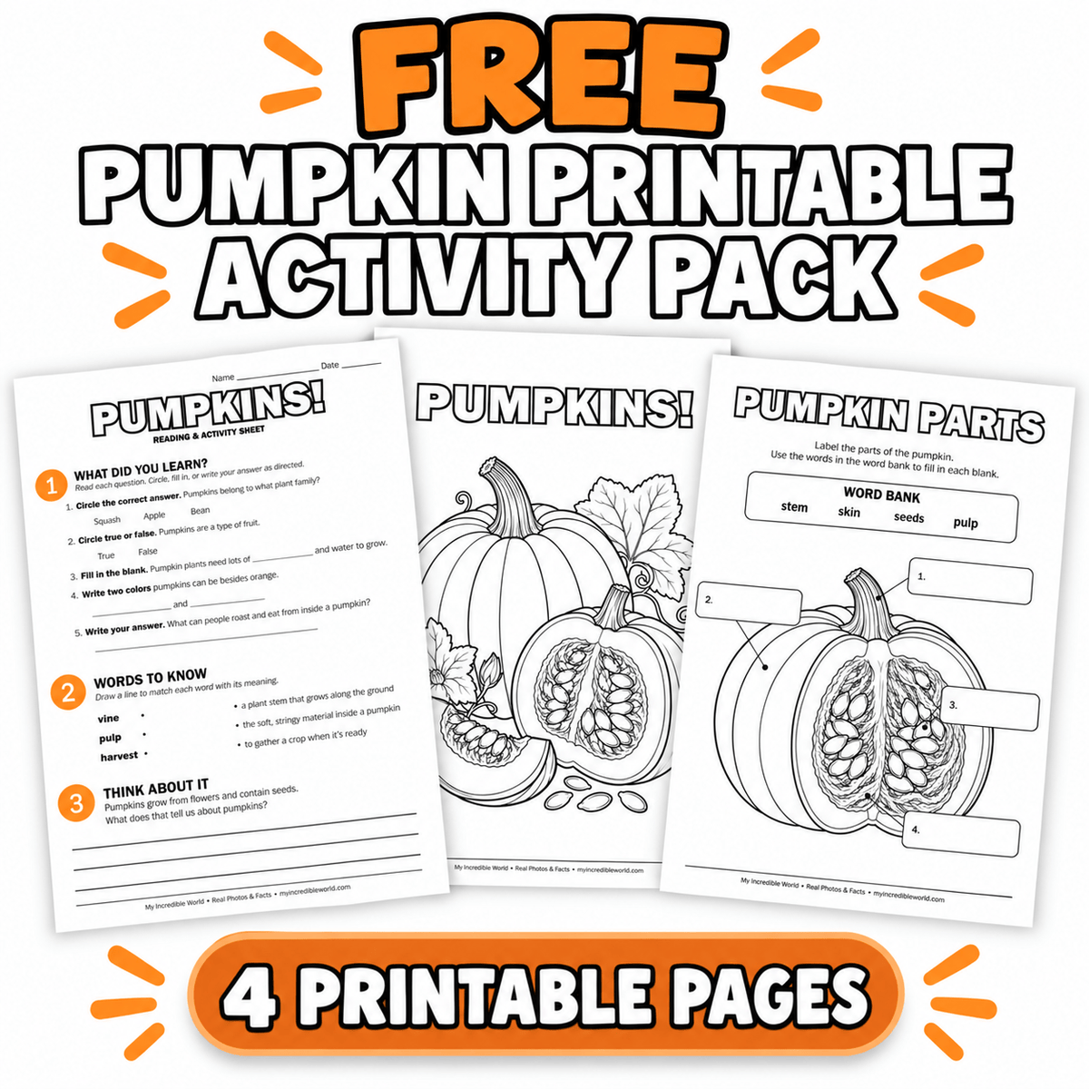 Free Pumpkins Printable Activity Pack for Kids