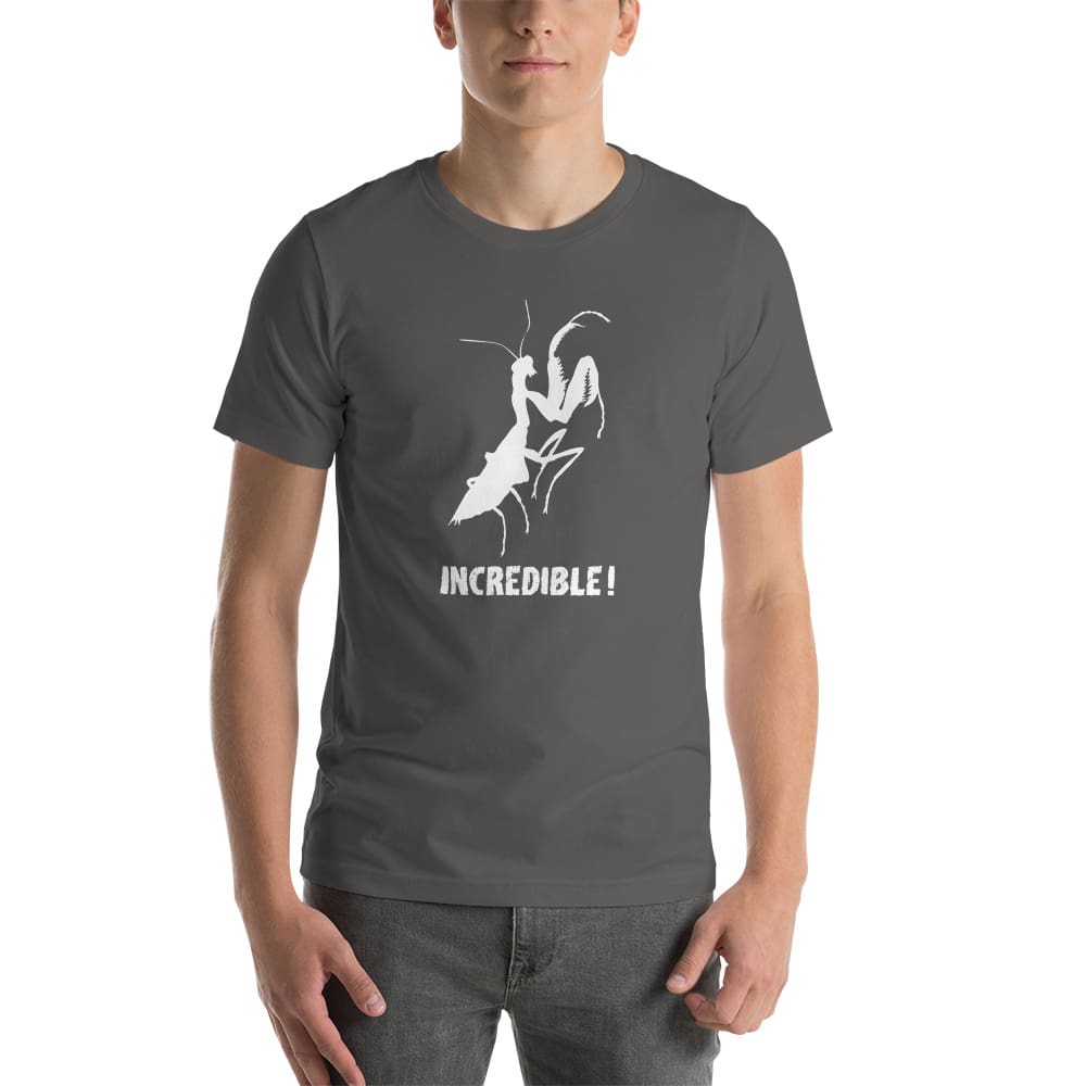 "Praying Mantises Are Incredible!" Praying Mantis T-Shirt - White Print (Adult Unisex / Men's) Asphalt / S