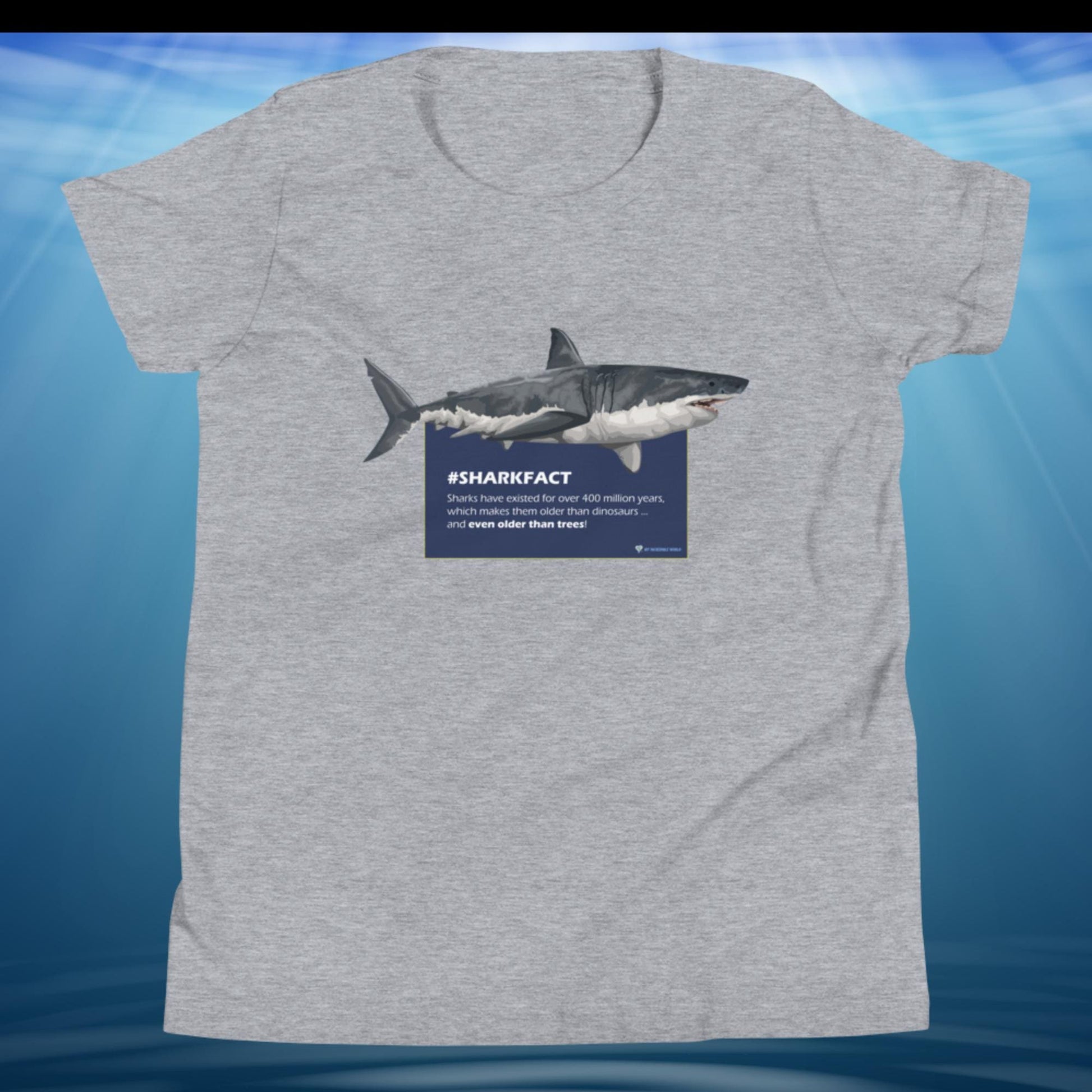 "SHARKFACT: Sharks Are Older Than Trees" Shark T-Shirt for Kids/Youth Athletic Heather / S