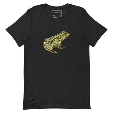 "Watercolor Frog" Frog T-Shirt (Adult Unisex) Black Heather / XS