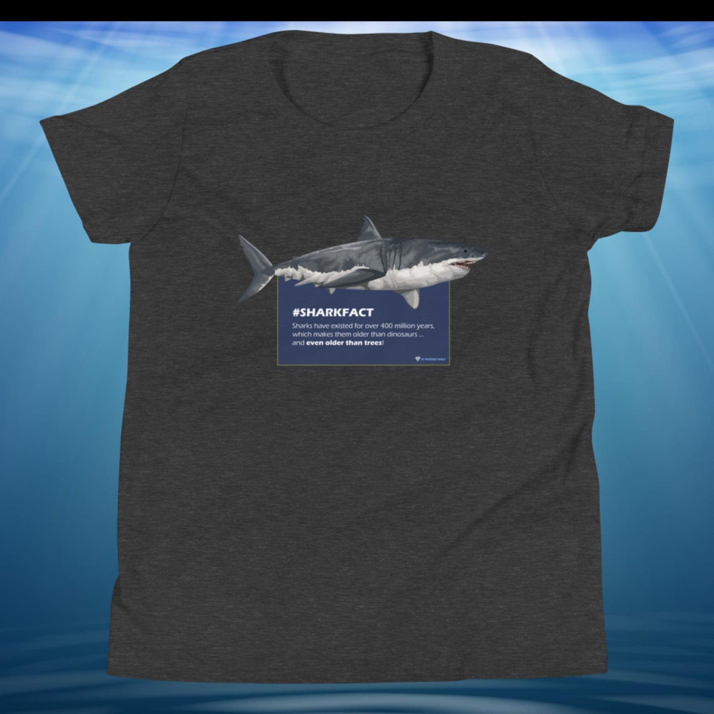 "SHARKFACT: Sharks Are Older Than Trees" Shark T-Shirt for Kids/Youth Dark Grey Heather / S