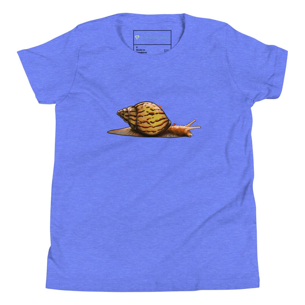 "Watercolor Snail" Snail T-Shirt (Youth/Kids) Heather Columbia Blue / S