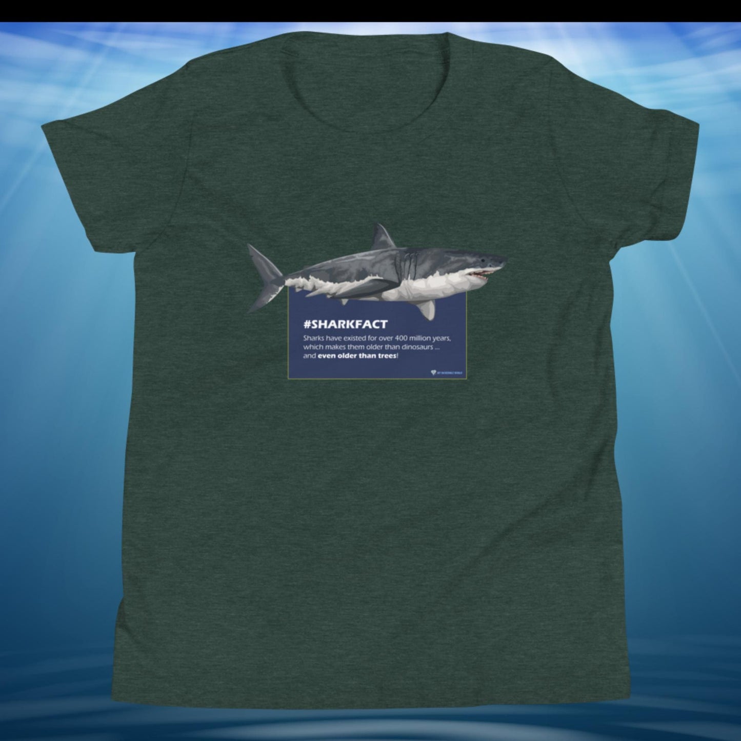 "SHARKFACT: Sharks Are Older Than Trees" Shark T-Shirt for Kids/Youth Heather Forest / S