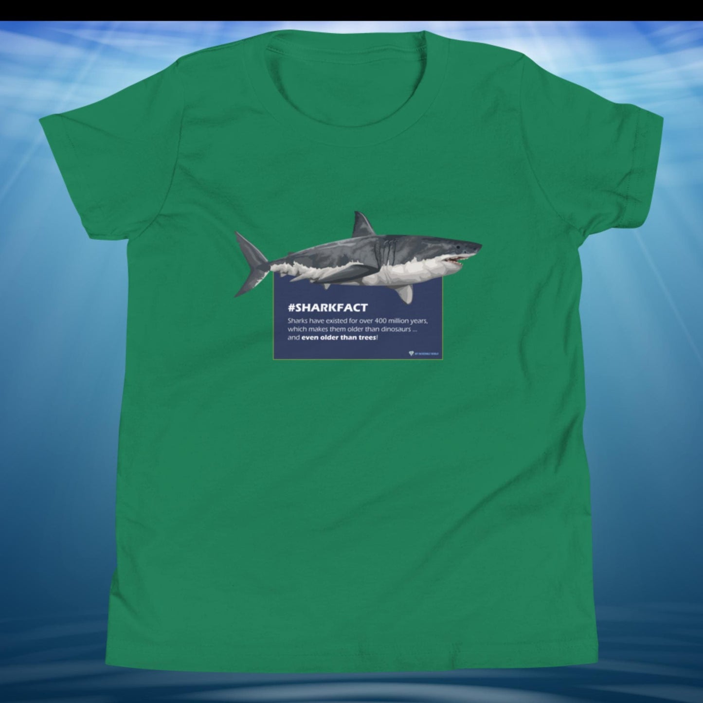 "SHARKFACT: Sharks Are Older Than Trees" Shark T-Shirt for Kids/Youth Kelly / S