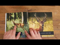 Deer! A My Incredible World Picture Book for Children