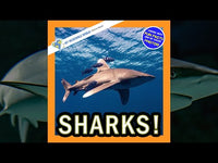 Sharks! A My Incredible World Picture Book for Children